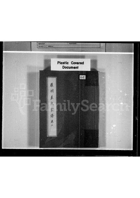 广东袁氏族谱-罗湖袁氏家谱.pdf电子版缩略图