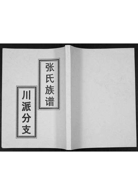 广东张氏族谱-张氏族谱.pdf电子版缩略图