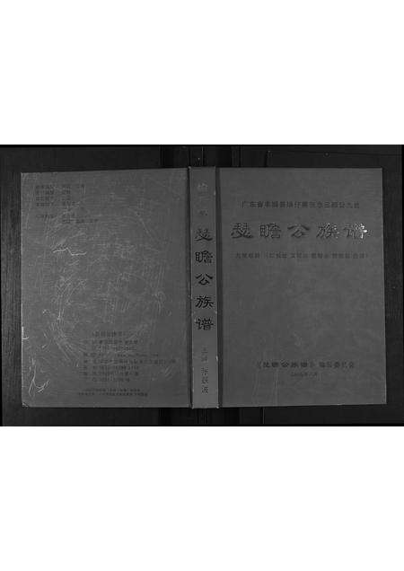 广东张氏族谱-张念三郎九世瑟瞻公公族谱.pdf电子版缩略图
