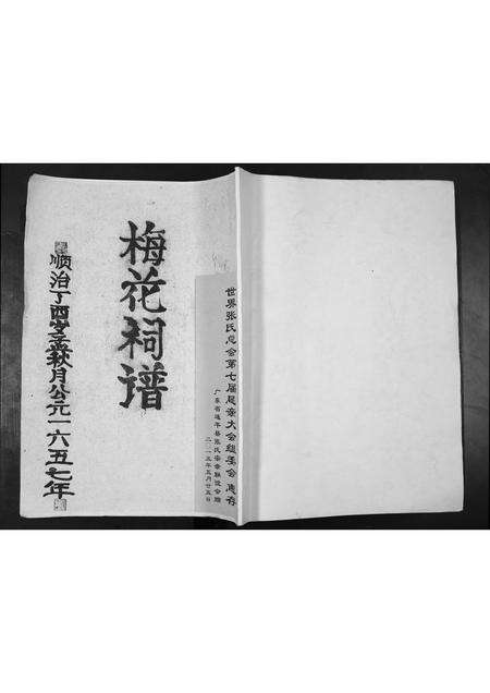 广东张氏族谱-张氏宗祠续谱.pdf电子版缩略图