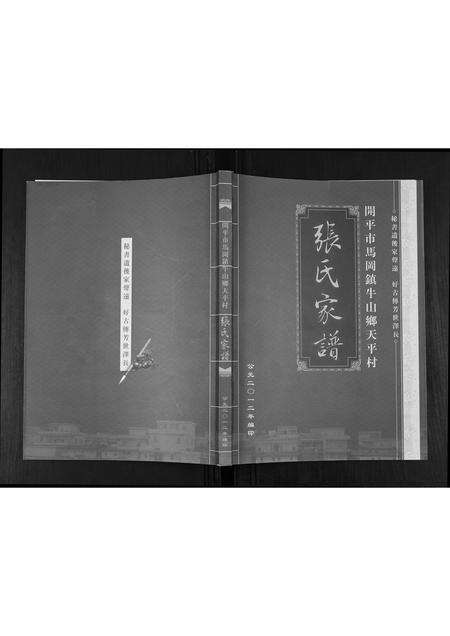 广东张氏族谱-张氏家谱.pdf电子版缩略图