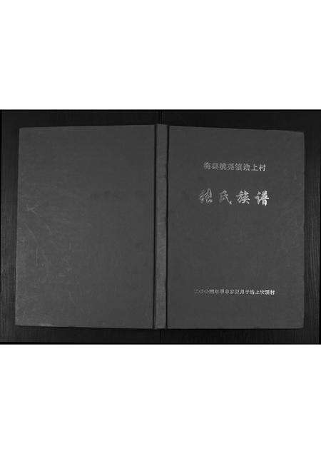 广东张氏族谱-张氏族谱.pdf电子版缩略图