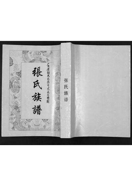 广东张氏族谱-张氏族谱.pdf电子版缩略图