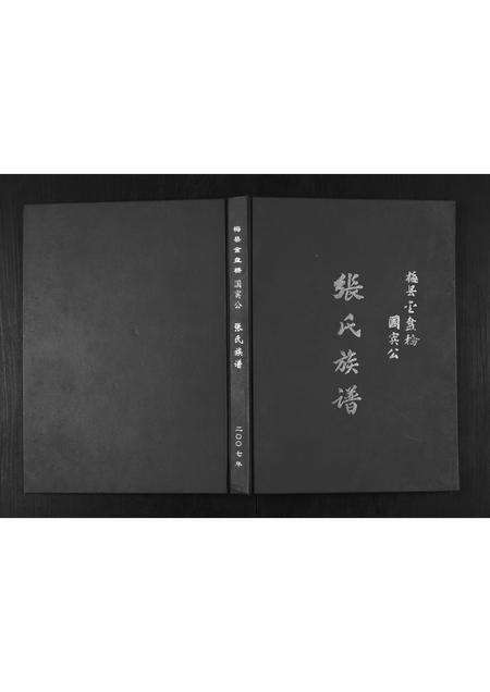 广东张氏族谱-张氏族谱.pdf电子版缩略图