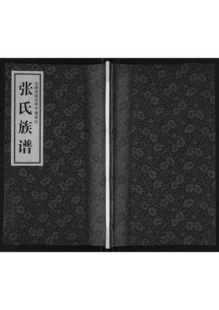 广东张氏族谱-张氏族谱[不分卷].pdf电子版缩略图