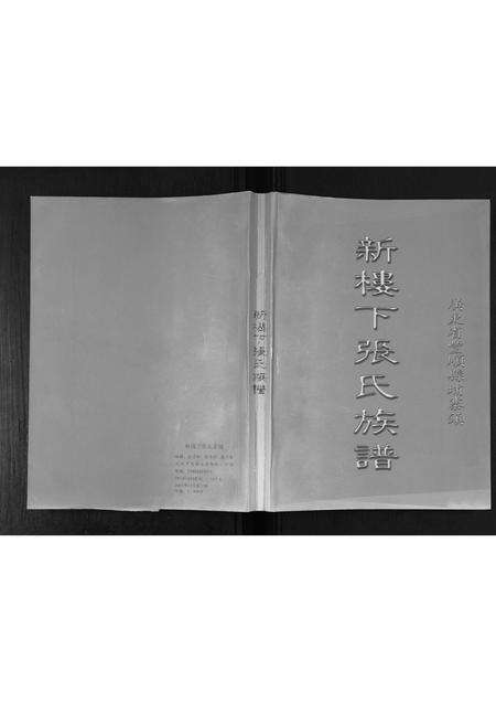 广东张氏族谱-新楼下张氏族谱.pdf电子版缩略图