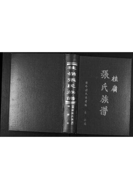 广东张氏族谱-桂岭张氏族谱.pdf电子版缩略图