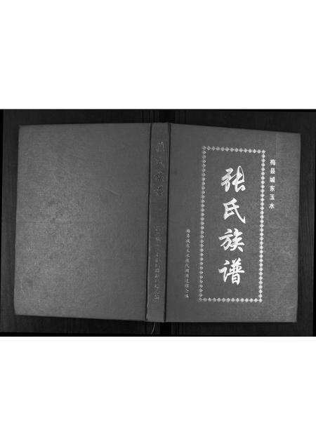 广东张氏族谱-梅县城东玉水张氏族谱.pdf电子版缩略图