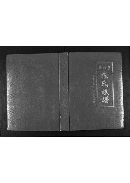 广东张氏族谱-清河堂张氏族谱.pdf电子版缩略图