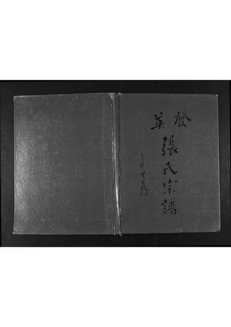 广东张氏族谱-英发张氏宗谱.pdf电子版缩略图