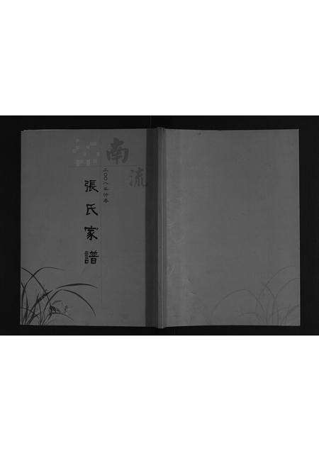 河南张氏族谱-南流张氏家谱[不分卷].pdf电子版缩略图