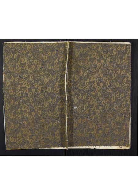 河南张氏族谱-张氏宗谱.pdf电子版缩略图