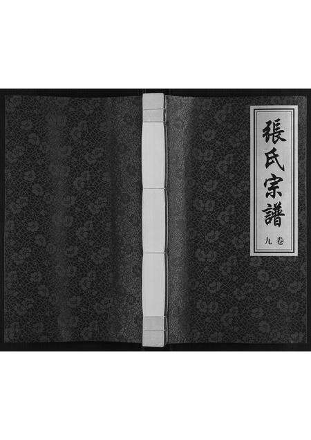 河南张氏族谱-张氏宗谱[不分卷].pdf电子版缩略图