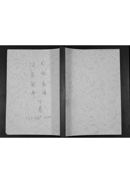 河南张氏族谱-张氏家谱.pdf电子版缩略图