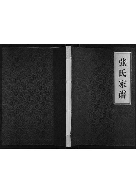 河南张氏族谱-张氏家谱[不分卷].pdf电子版缩略图