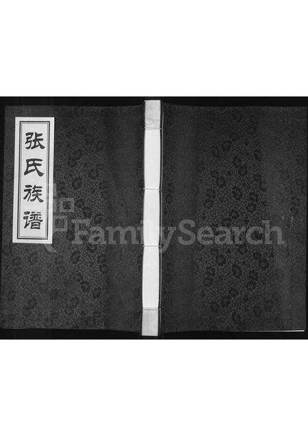 河南张氏族谱-张氏族谱.pdf电子版缩略图