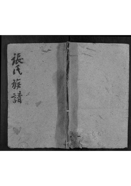 河南张氏族谱-张氏族谱.pdf电子版缩略图