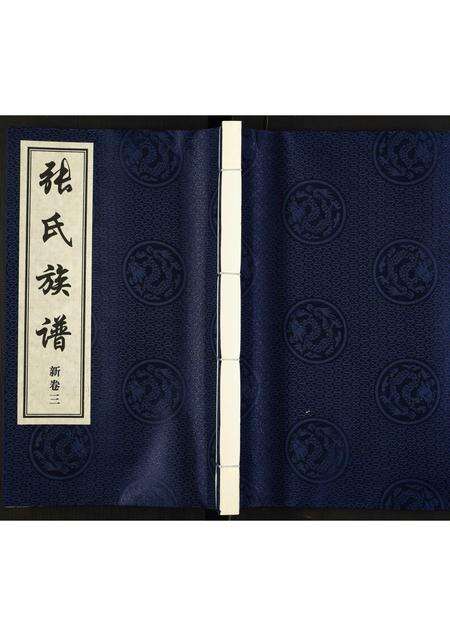 河南张氏族谱-张氏族谱.pdf电子版缩略图