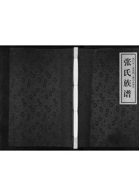 河南张氏族谱-张氏族谱[不分卷].pdf电子版缩略图