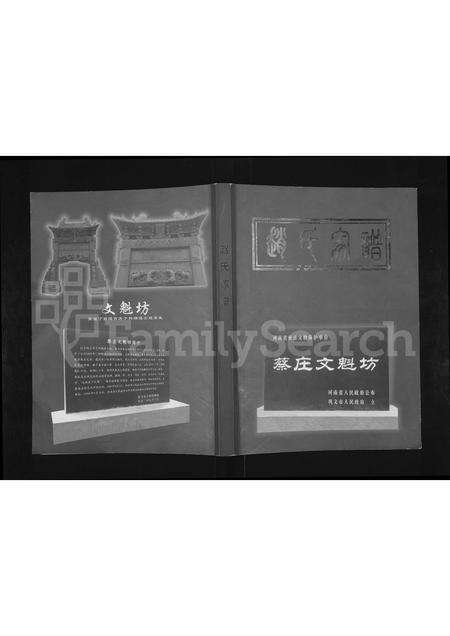 河南赵氏族谱-赵氏家谱.pdf电子版缩略图