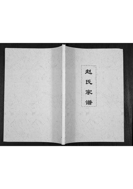 河南赵氏族谱-赵氏家谱.pdf电子版缩略图