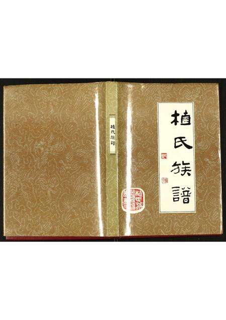广东植氏族谱-植氏族谱.pdf电子版缩略图