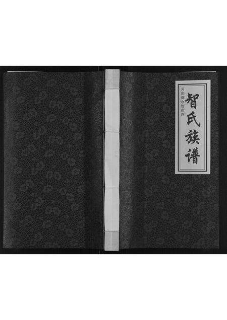 河南智氏族谱-智氏族谱[不分卷].pdf电子版