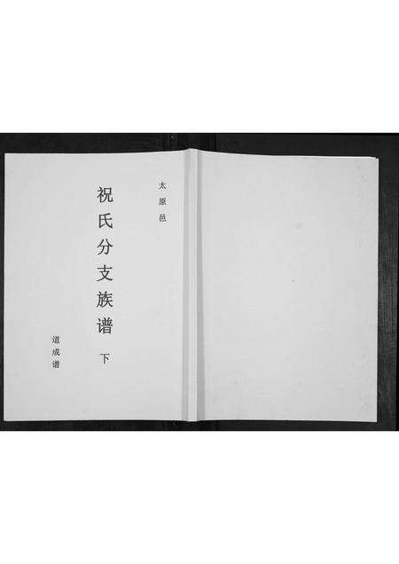 广东祝氏族谱-祝氏分支族谱.pdf电子版缩略图