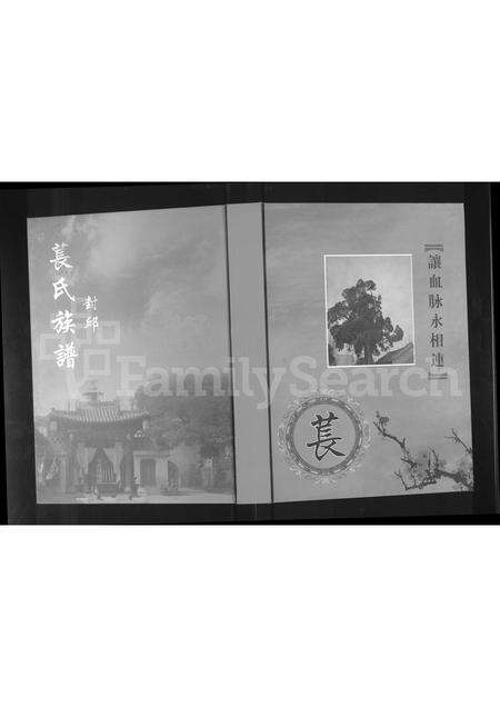 河南苌氏族谱-封邱苌氏族谱 [10卷].pdf电子版缩略图