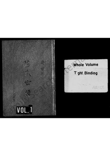 河南陈氏族谱-陈氏世谱.pdf电子版缩略图