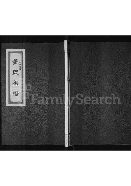 河南董氏族谱-河南宛北董氏族谱.pdf电子版缩略图