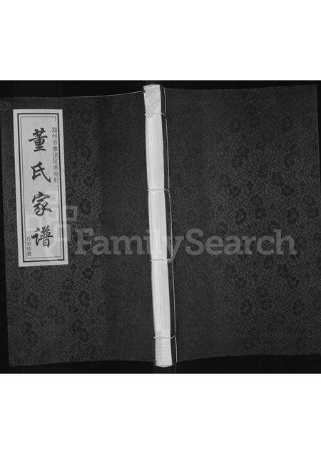 河南董氏族谱-郑州市惠济区苏屯村董氏家谱.pdf电子版缩略图