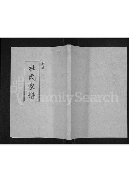 河南杜氏族谱-郭沟杜氏家谱.pdf电子版缩略图