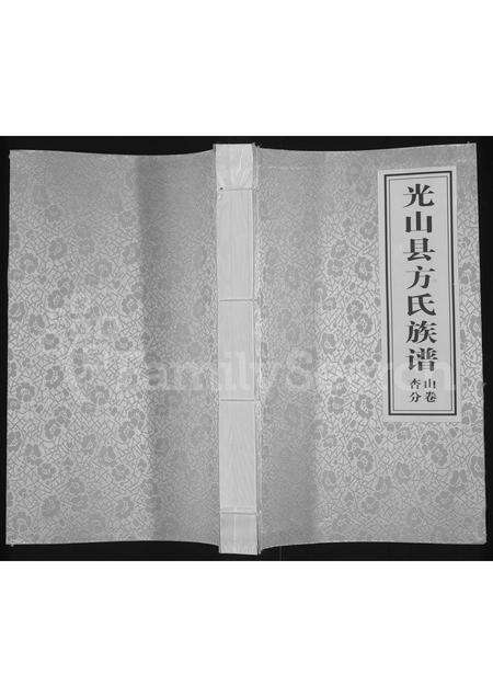 河南方氏族谱-光山县方氏族谱 _ 杏山分卷.pdf电子版缩略图