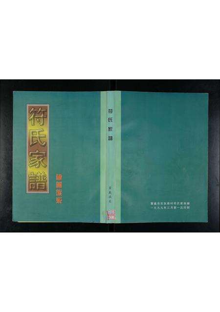 河南符氏族谱-符氏家谱 _ 巩义族系.pdf电子版缩略图