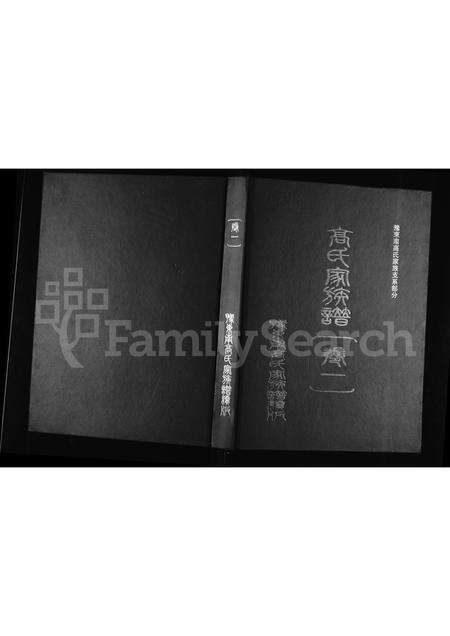 河南高氏族谱-高氏家族谱 _ 豫东南高氏家族支系部分 [残1卷].pdf电子版缩略图