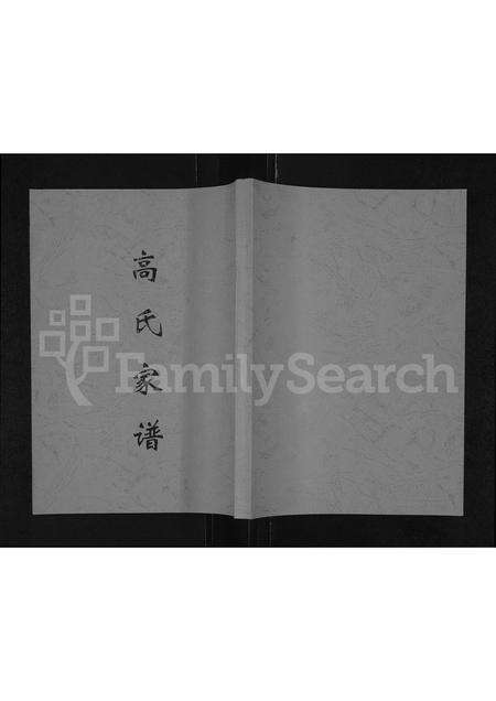 河南高氏族谱-高氏家谱 _ 登封市磴槽村(包括箭沟村).pdf电子版缩略图