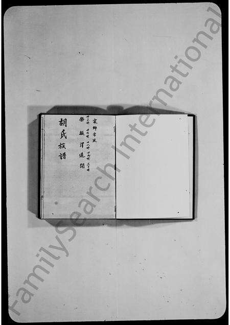 广东胡氏族谱-胡氏族谱.pdf电子版缩略图