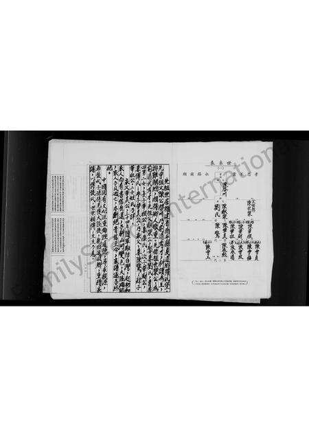 福建陈氏族谱-[陈氏族谱].pdf电子版缩略图