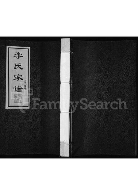 广东李氏族谱-李氏家谱 _ 士标裔传.pdf电子版缩略图