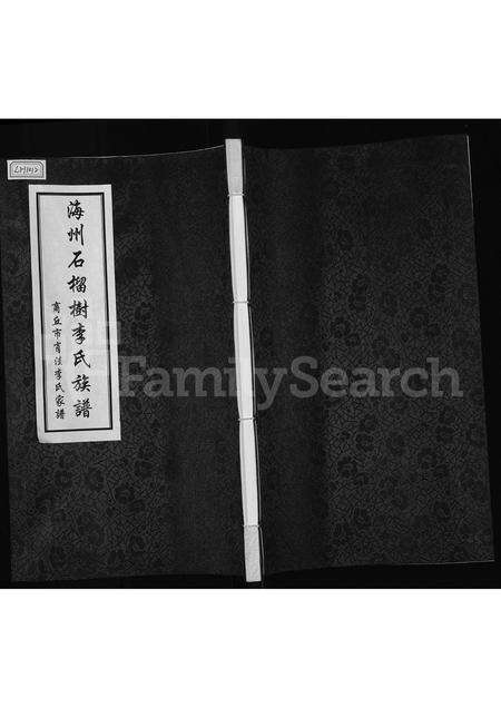 河南李氏族谱-海州石榴树李氏族谱 _ 商丘市肖洼李氏家谱 [不分卷].pdf电子版缩略图