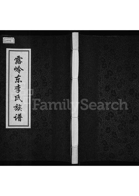 河南李氏族谱-露岭东李氏族谱.pdf电子版缩略图