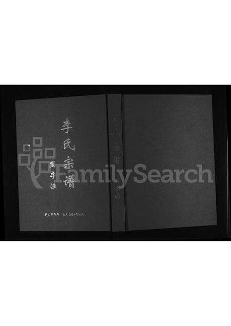 河南李氏族谱-李氏宗谱 _ 蛮李洼.pdf电子版缩略图