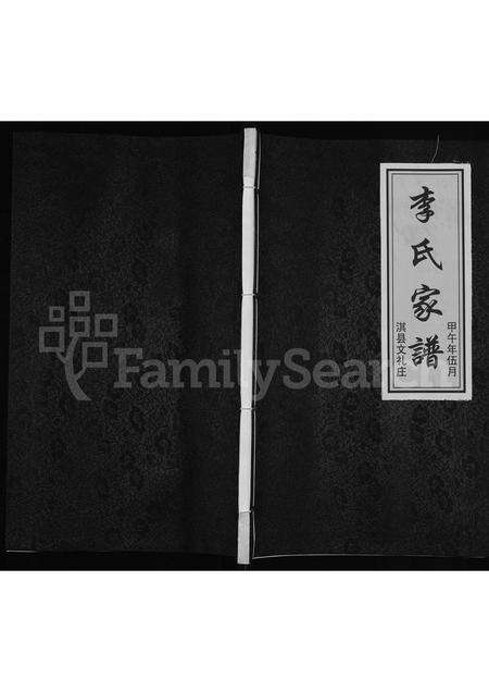 河南李氏族谱-李氏家谱 _ 淇县文礼庄.pdf电子版缩略图