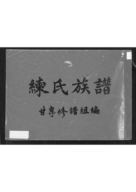 广东练氏族谱-练氏族谱 [不分卷].pdf电子版缩略图