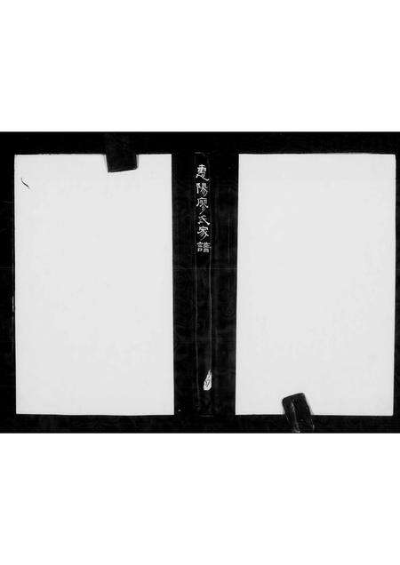 广东廖氏族谱-惠阳廖氏家谱 _ [2卷].pdf电子版缩略图