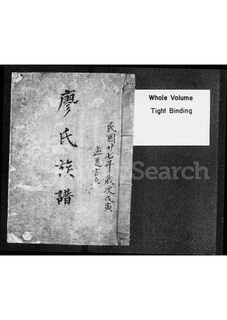 广东廖氏族谱-廖氏族谱.pdf电子版缩略图