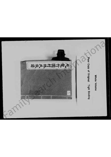 广东林氏族谱-九龙竹园村林氏族谱.pdf电子版缩略图