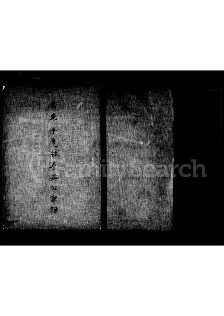 广东林氏族谱-广东平远林彦英公家谱 [4卷].pdf电子版缩略图