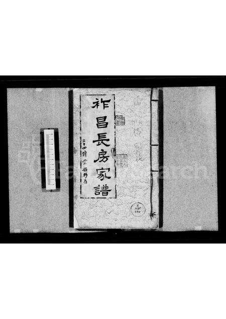 广东罗氏族谱-[罗氏]祚昌长房家谱.pdf电子版缩略图